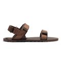 Cocoa Brown/Java Brown - Xero Shoes D-Trail